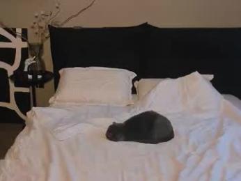 simonwnl webcam chaturbate model stream image