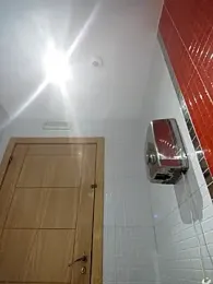 Freyja300 webcam model stream image