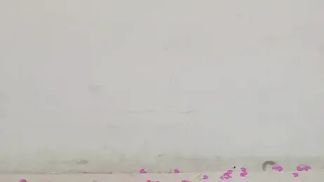 Hot-dance520 webcam model stream image