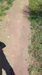 Jop666 webcam cam4 model stream image