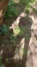 Jop666 webcam model stream image