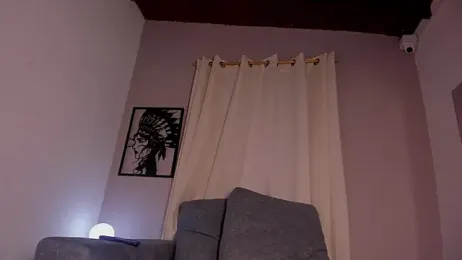 ale_cam webcam model stream image