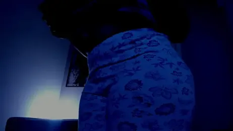 ale_cam webcam model stream image