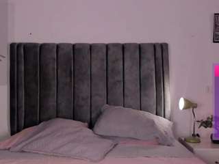 artemish webcam model stream image