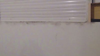 robocopx2x webcam model stream image