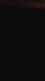 passiv82 webcam model stream image