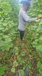 jo23_xxx webcam cam4 model stream image