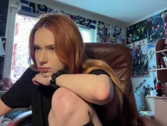 Loopersim webcam model stream image