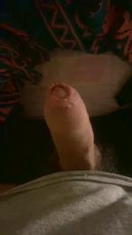 cosmo831 webcam model stream image