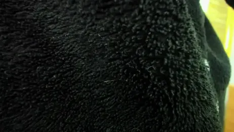 AishaRouhi webcam stripchat model stream image