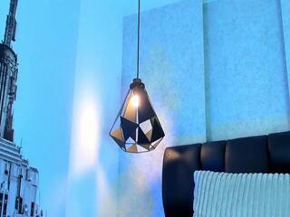 Arthur Lamm webcam model stream image