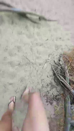 Horny_cruising webcam model stream image
