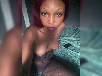 QwinDrip webcam model stream image