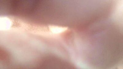 Papillondusud webcam model stream image