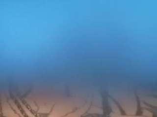 onetwo323 webcam model stream image