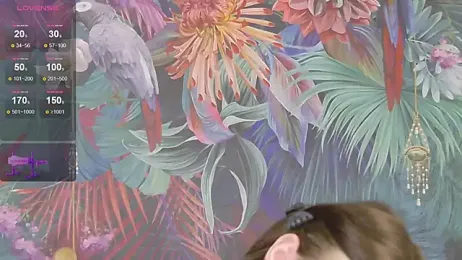 EvaaLane webcam model stream image