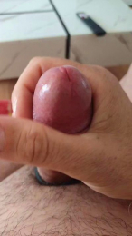 Abulense50 webcam model stream image