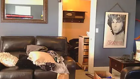 SilverandFox webcam model stream image