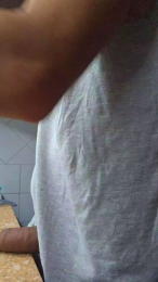 NOAH2023 webcam model stream image