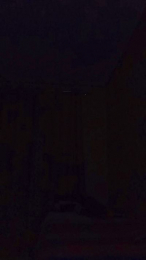 diegocortezbr webcam model stream image