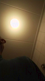 Pinnetje webcam model stream image
