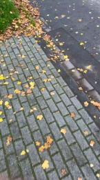 Basti0334 webcam model stream image