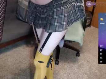 obscureview webcam model stream image