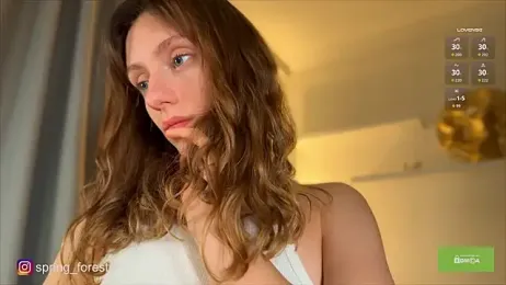 spring_forest webcam model stream image