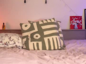 _swaa webcam model stream image