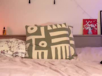 _swaa webcam model stream image