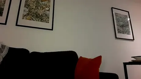 Edenfox- webcam model stream image