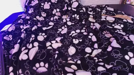 Katy_bratz_ webcam model stream image