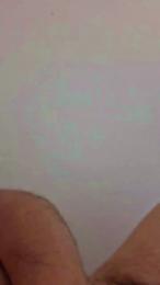 Papillon1973 webcam model stream image