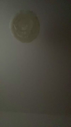 blueeyespilot webcam model stream image