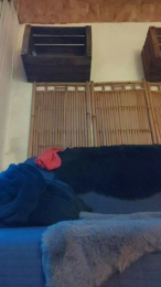 Thiebaud webcam model stream image
