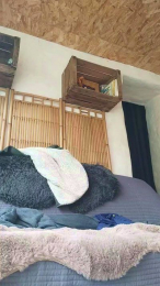 Thiebaud webcam model stream image