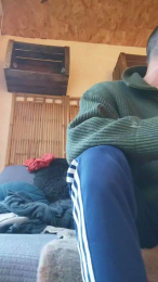 Thiebaud webcam model stream image