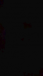 saldfnuik webcam model stream image