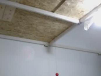 miniorganismo webcam model stream image