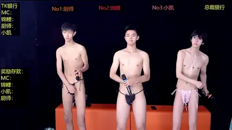 YQM-666 webcam model stream image