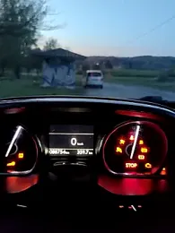 lui8181 webcam stripchat model stream image