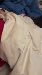 Apolocollo webcam model stream image