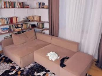 angelinahass webcam model stream image