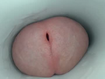 jeffrodgerschaturbat webcam model stream image