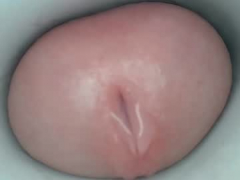 jeffrodgerschaturbat webcam model stream image