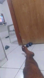06829793335 webcam model stream image