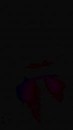 Bembeleza webcam cam4 model stream image