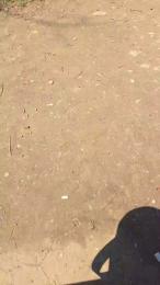 dolce83 webcam model stream image