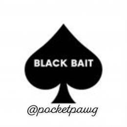 Pocketpawg webcam model stream image