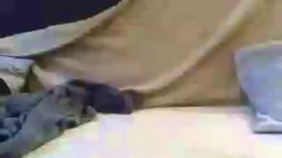 carpy5 webcam model stream image
